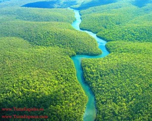 Tuna España Rio Orinoco DD