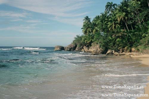 Tuna España Grande-Beach