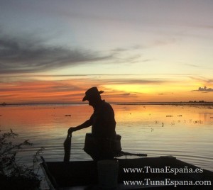 Tuna España Pescador Lucero DD