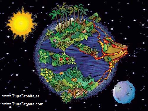 Tuna España Polo DD