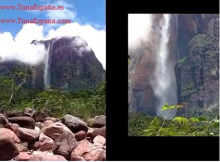 Tuna España Polo Margariteño DDD