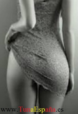 Tunas Universitarias, Cancionero Tuna ,Sin título