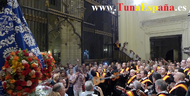 TunaEspaña, Catedral Murcia, cancionero tuna, virgen de la fuensanta, victorio, tuna universitaria, canciones tuna