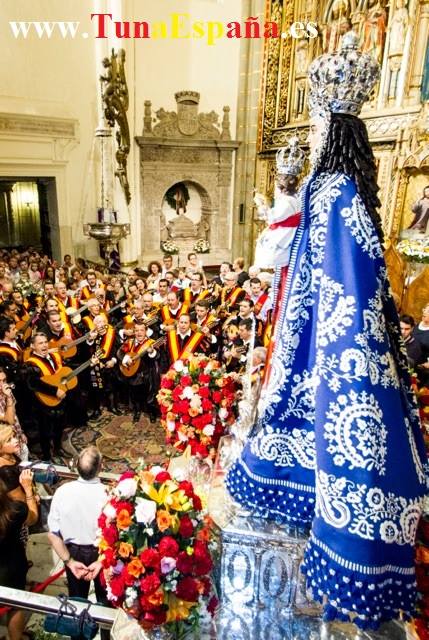 TunaEspaña, DonDudo, Alegria de la Huerta, Fuensanta